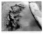 I came to the puddle. I could not cross it. Then, very gingerly, I pushed my foot across. I returned very painfully, drawing myself back into my body.